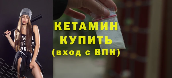 трава Корсаков