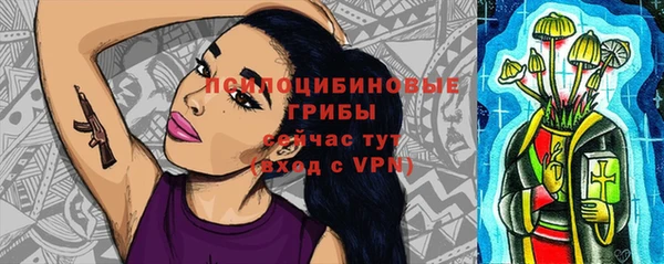 а пвп мука Абаза