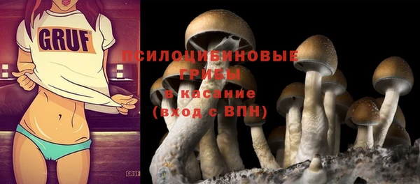 а пвп мука Абаза