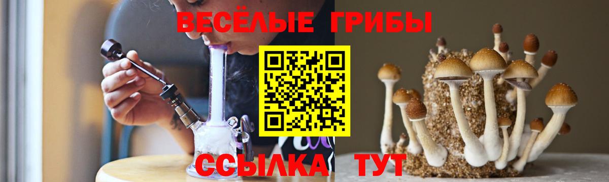 Псилоцибиновые грибы мицелий  Вход с VPN  цены   Иркутск 